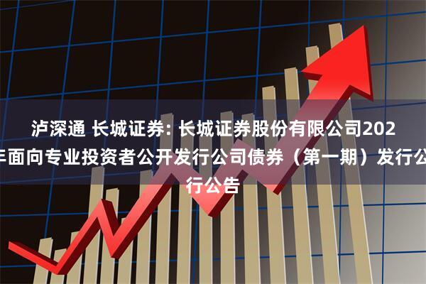 泸深通 长城证券: 长城证券股份有限公司2025年面向专业投资者公开发行公司债券(第一期)发行公告
