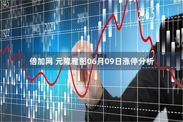 倍加网 元隆雅图06月09日涨停分析