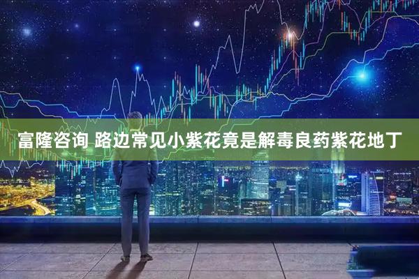 富隆咨询 路边常见小紫花竟是解毒良药紫花地丁