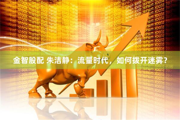 金智股配 朱洁静：流量时代，如何拨开迷雾？