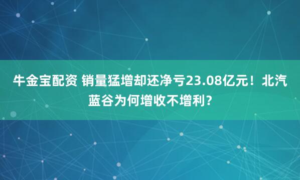 牛金宝配资 销量猛增却还净亏23.08亿元！北汽蓝谷为何增收不增利？