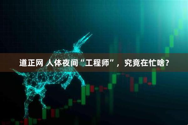 道正网 人体夜间“工程师”，究竟在忙啥？
