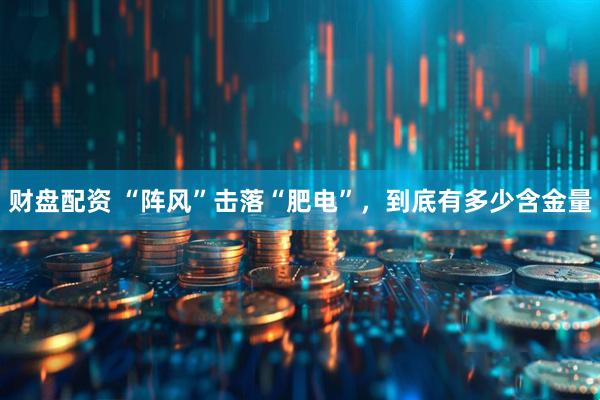 财盘配资 “阵风”击落“肥电”，到底有多少含金量