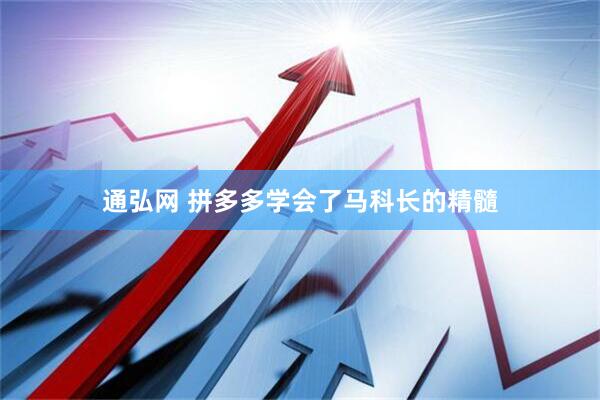 通弘网 拼多多学会了马科长的精髓