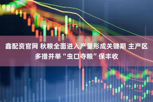 鑫配资官网 秋粮全面进入产量形成关键期 主产区多措并举“虫口夺粮”保丰收