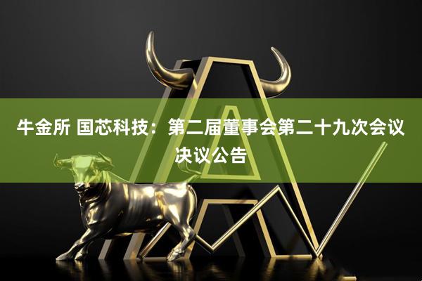 牛金所 国芯科技：第二届董事会第二十九次会议决议公告