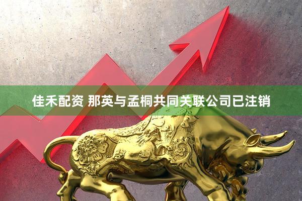 佳禾配资 那英与孟桐共同关联公司已注销